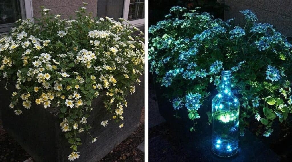 Des bordures de jardin lumineuses faites avec des bouteilles en verre